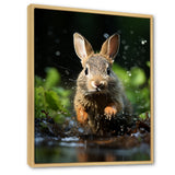 Rabbit Energetic Hopper - Rabbit Canvas Wall Art