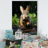 Rabbit Energetic Hopper - Rabbit Canvas Wall Art