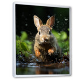 Rabbit Energetic Hopper - Rabbit Canvas Wall Art