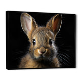 Cute Rabbit Portrait - Brown Rabbit Wall Art