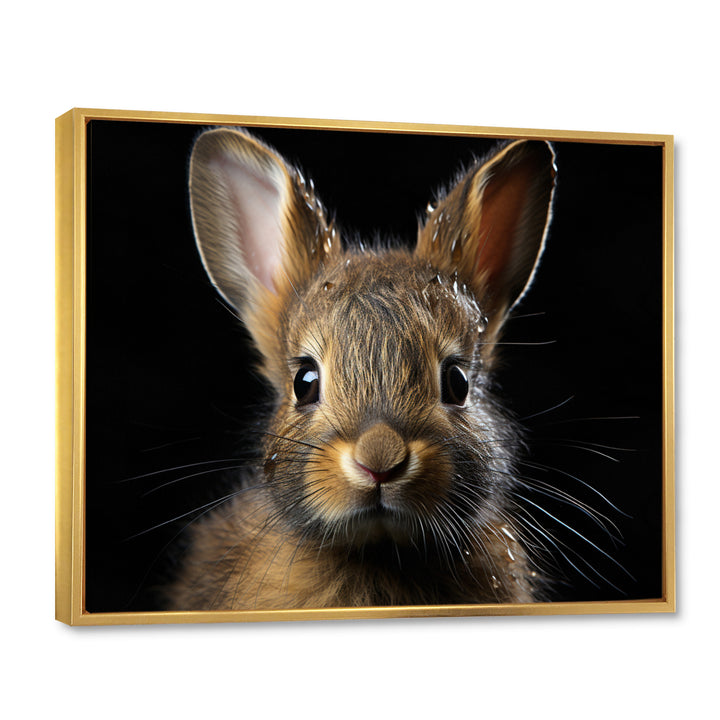 Cute Rabbit Portrait - Brown Rabbit Wall Art