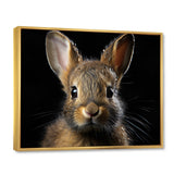 Cute Rabbit Portrait - Brown Rabbit Wall Art