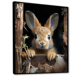 Funny Rabbit Portrait - Rabbit Framed Canvas Art