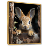 Funny Rabbit Portrait - Rabbit Framed Canvas Art