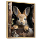 Funny Rabbit Portrait - Rabbit Framed Canvas Art