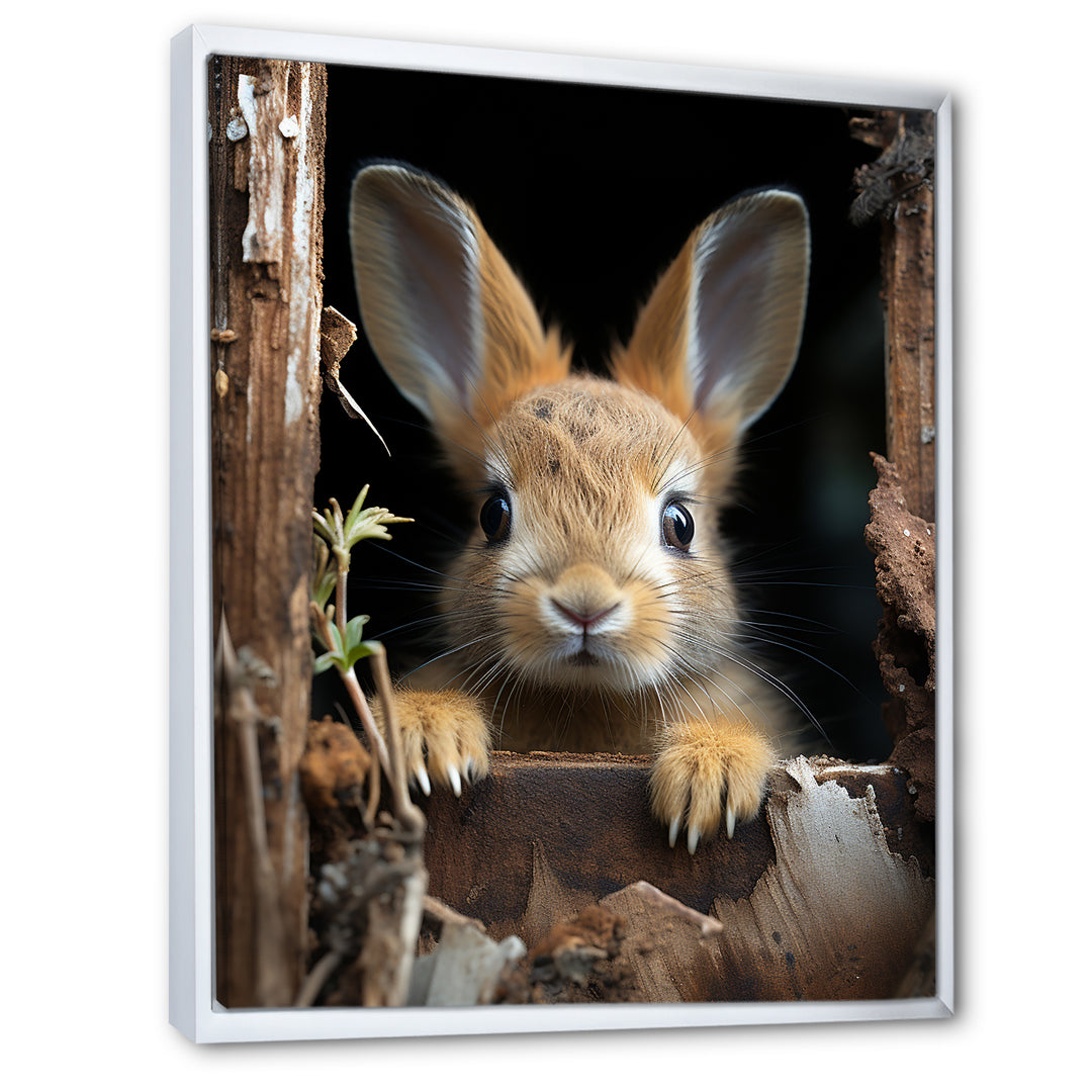 Funny Rabbit Portrait - Rabbit Framed Canvas Art