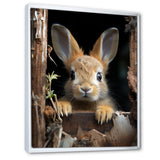 Funny Rabbit Portrait - Rabbit Framed Canvas Art