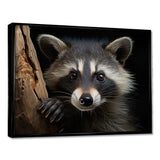 Curious Raccoon III - Animals Canvas Wall Art