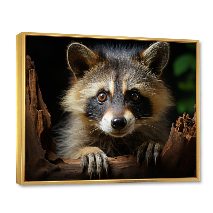 Grey Raccoon Portrait - Raccoon Home Decor Art