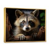 Grey Raccoon Portrait - Raccoon Home Decor Art