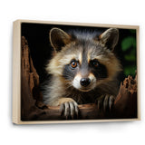 Grey Raccoon Portrait - Raccoon Home Decor Art