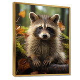 Vibrant Raccoon Portrait III - Animals Canvas Wall Art