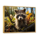 Raccoon Ultra - Raccoon Canvas Wall Art