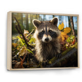 Raccoon Ultra - Raccoon Canvas Wall Art