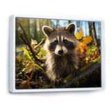 Raccoon Ultra - Raccoon Canvas Wall Art