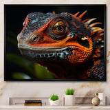 Orange Reptile Amphibian Portrait - Reptile Wall Decor