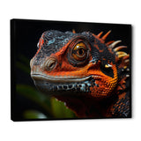 Orange Reptile Amphibian Portrait - Reptile Wall Decor