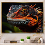 Orange Reptile Amphibian Portrait - Reptile Wall Decor