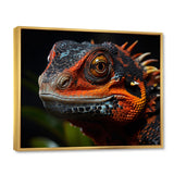 Orange Reptile Amphibian Portrait - Reptile Wall Decor