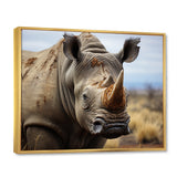 Rhinoceros Monochrome Portrait - Rhinoceros Wall Decor