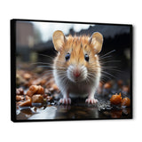 Curious Cute Rodent - Rodent Canvas Wall Art