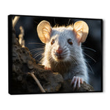 Cute Rodent Portrait - Rodent Canvas Wall Art