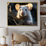 Cute Rodent Portrait - Rodent Canvas Wall Art