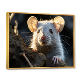 Cute Rodent Portrait - Rodent Canvas Wall Art