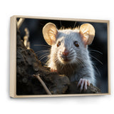 Cute Rodent Portrait - Rodent Canvas Wall Art