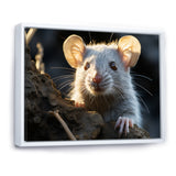 Cute Rodent Portrait - Rodent Canvas Wall Art