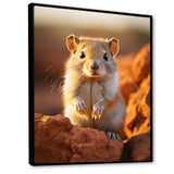 Small Wonder Rodent - Rodent Wall Art Prints