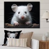 White Small Rodent Wonders - White Rodent Wall Art
