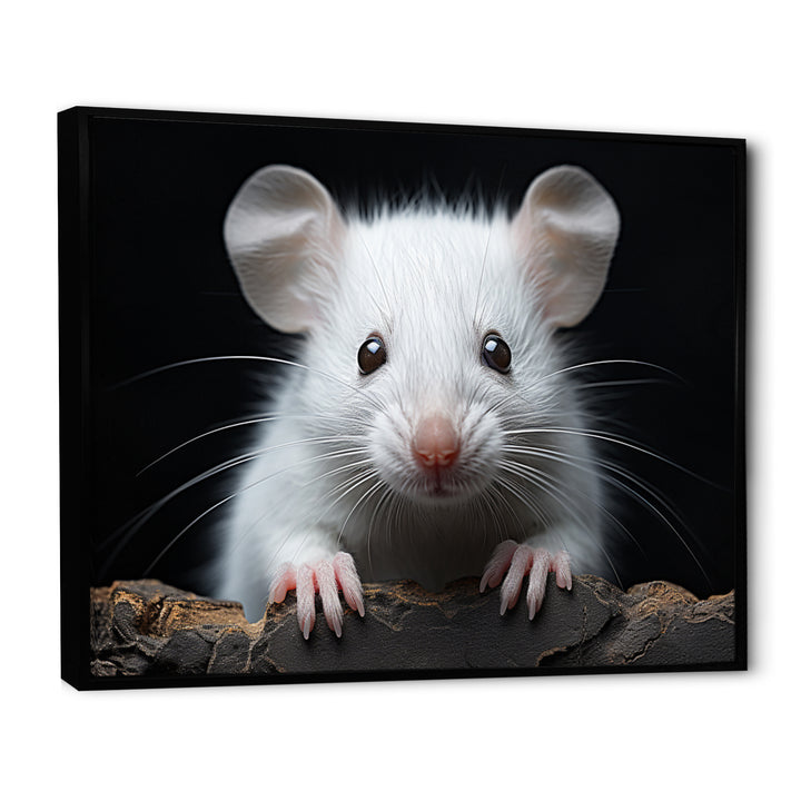 White Small Rodent Wonders - White Rodent Wall Art