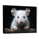 White Small Rodent Wonders - White Rodent Wall Art