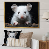 White Small Rodent Wonders - White Rodent Wall Art