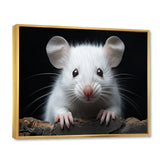 White Small Rodent Wonders - White Rodent Wall Art