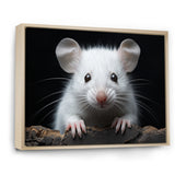 White Small Rodent Wonders - White Rodent Wall Art