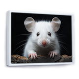 White Small Rodent Wonders - White Rodent Wall Art