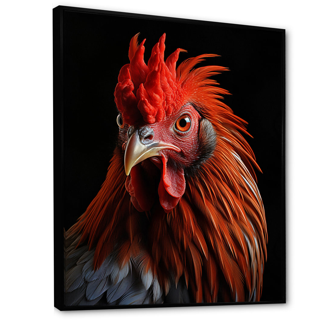 Brown Rooster Closeup Portrait - Rooster Home Decor Art