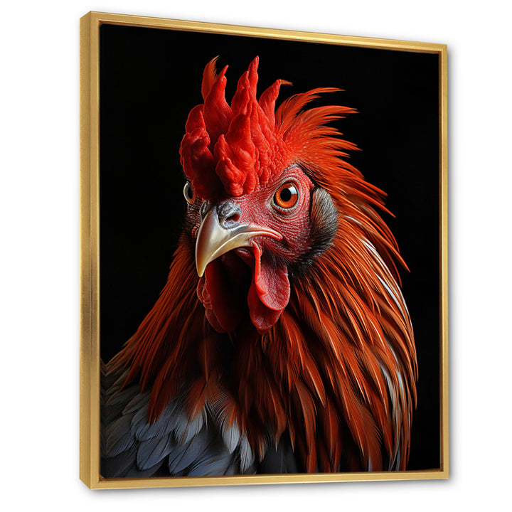 Brown Rooster Closeup Portrait - Rooster Home Decor Art