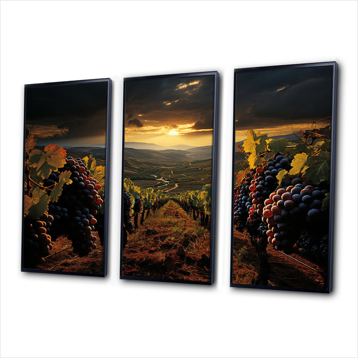 Scenic Vineyard Vibrant Harvest - Multi-Panels