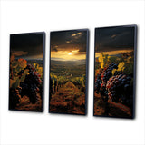Scenic Vineyard Vibrant Harvest - Multi-Panels