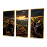 Scenic Vineyard Vibrant Harvest - Multi-Panels