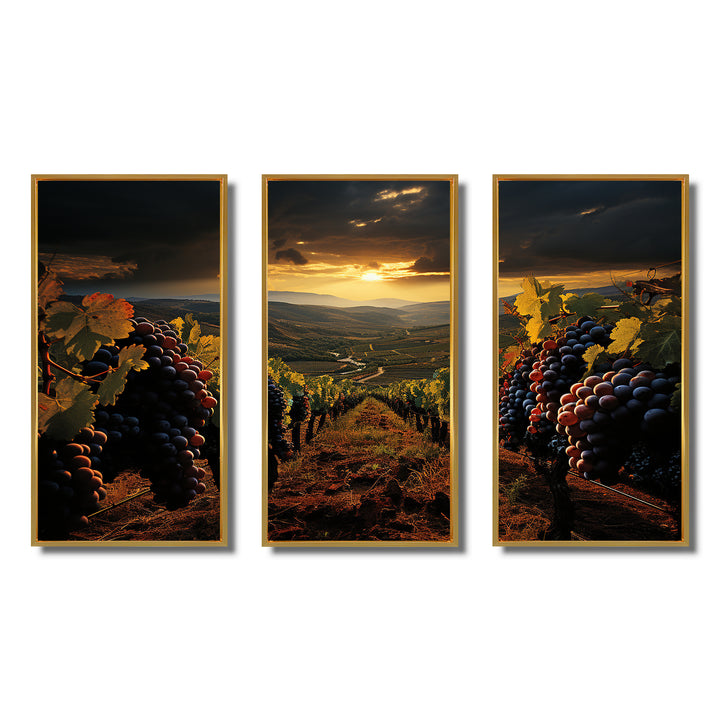 Scenic Vineyard Vibrant Harvest - Multi-Panels
