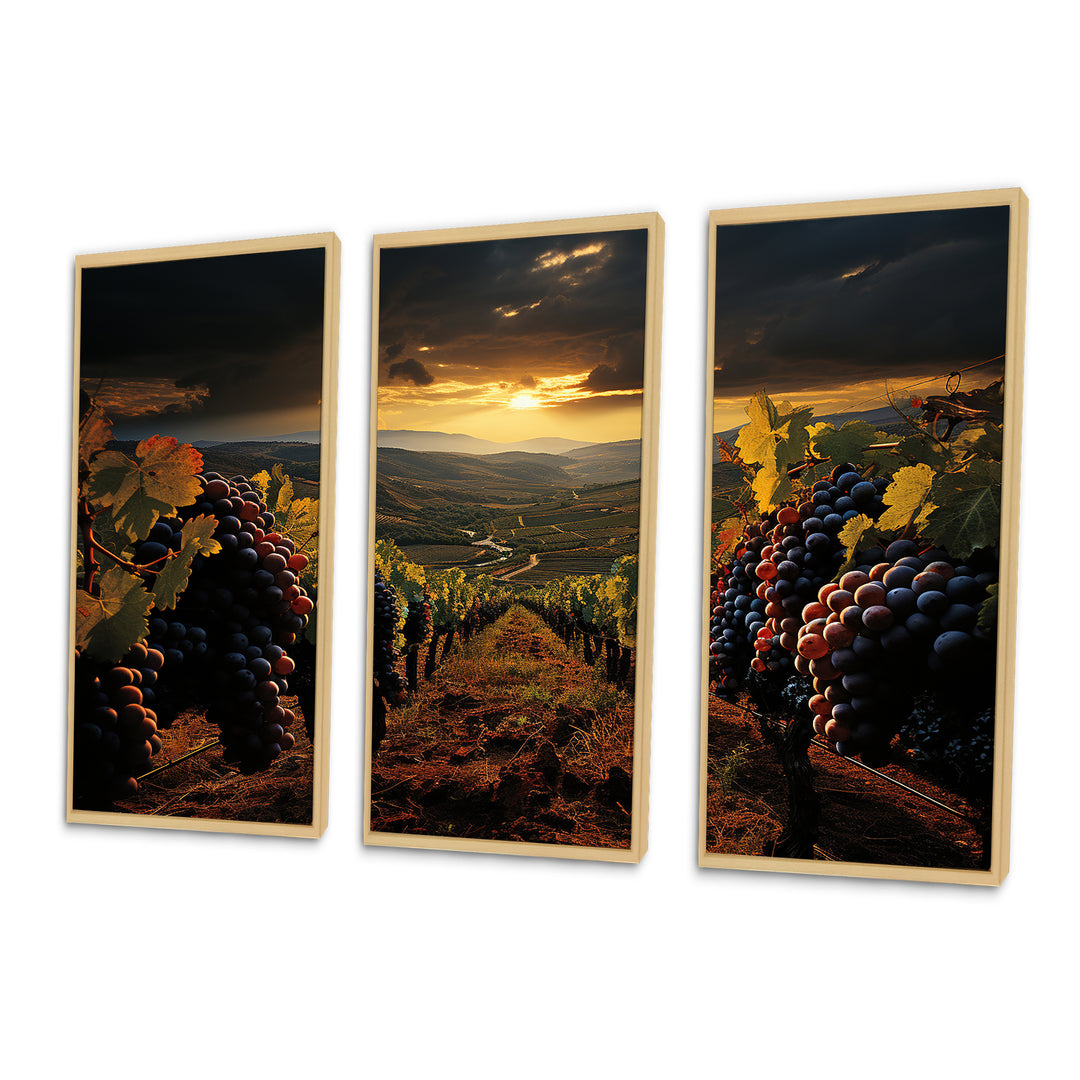 Scenic Vineyard Vibrant Harvest - Multi-Panels