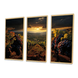 Scenic Vineyard Vibrant Harvest - Multi-Panels