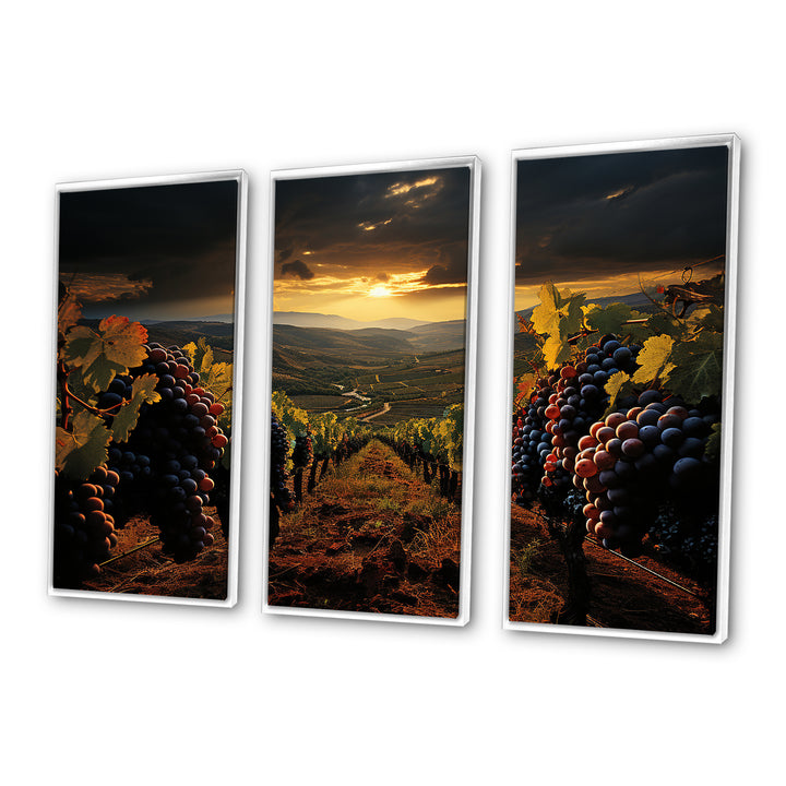 Scenic Vineyard Vibrant Harvest - Multi-Panels