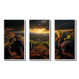 Scenic Vineyard Vibrant Harvest - Multi-Panels