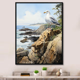 Seagull Coastal Guardian On Rock - Seagull Wall Art Prints
