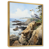 Seagull Coastal Guardian On Rock - Seagull Wall Art Prints